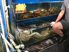 -蚝专家(北滘店)