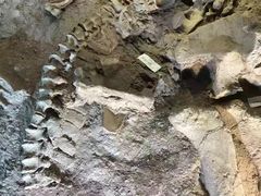 -世界恐龙谷景区