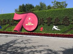 -大兴滨河森林公园