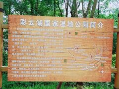 -重庆彩云湖湿地公园