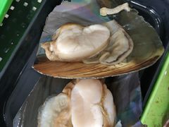 -蚝专家