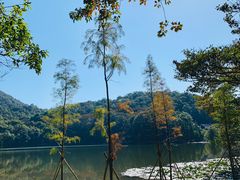 -广州市石门国家森林公园