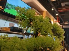 -木屋烧烤(龙岗龙城万科里店)