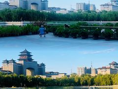 -莲花池公园