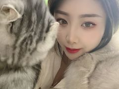 -极木²邸 人与宠物·互动社区