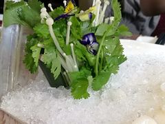 -辉哥火锅(虹桥路店)