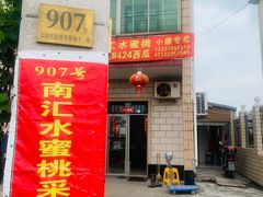 -南汇水蜜桃采摘(大团店)