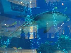 -成都浩海立方海洋公园