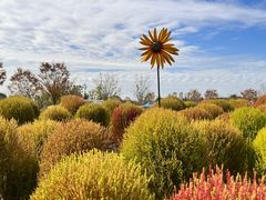 -花开海上生态园
