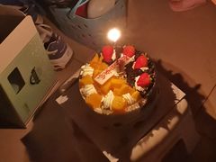 -维尔纳斯·生日蛋糕动物奶油冰淇淋蛋糕(人大店)