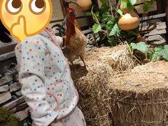 -洞庭土菜馆(天河北总店)