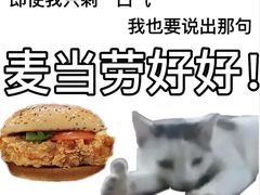 -麦当劳(普陀香溢花城店)