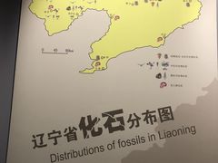 -辽宁古生物博物馆
