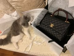 -CHANEL(恒隆广场店)