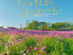 -香蜜公园