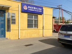 -苏家坨柳林村二月兰花海