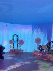 -超级奈尔宝SUPER NEOBIO(杭州星光店)