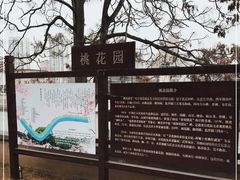 -桃花堤公园