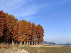 -四明湖