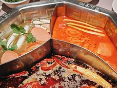 -蜀九香火锅(九眼桥店)