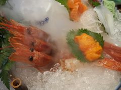 刺身拼盘-柚子(假日店)