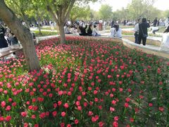 -长春公园(普阳街道)