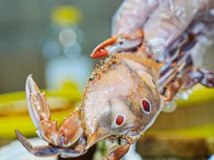 -巽寮印象美食部落餐厅·海鲜·地方特色菜(惠州体验店)