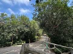 -大雁山风景区