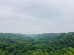 -大青沟风景区