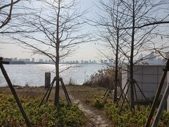 -金鸡湖桃花岛