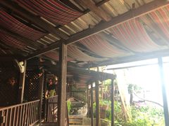 -卷心菜和避孕套餐厅(Pattaya)