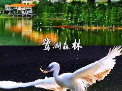 -美的鹭湖森林度假区