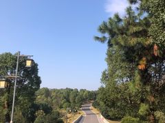 -中华贤母园-陶渊明纪念馆