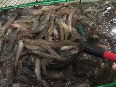 -物美超市(通州梨园店)