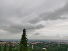 -龙口南山旅游景区