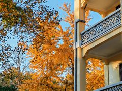 -南京中国近代史遗址博物馆(南京总统府)