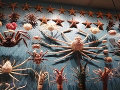 -贝林大翅鲸简餐厅(国家海洋博物馆店)