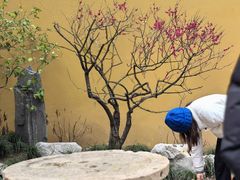 -西园戒幢律寺