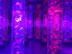 -梦幻海洋王国(吾悦广场张家港店)