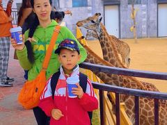 -西霞口神雕山野生动物世界