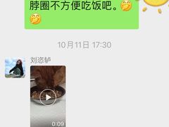 -宠福鑫动物医院(城北分院)