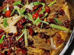 -老板恋上鱼(高新万达店)