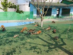 -西霞口神雕山野生动物世界