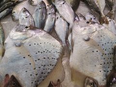 左目鱼-茂港柏香(侨港路店)