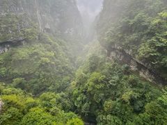 -鹿院坪生态旅游景区