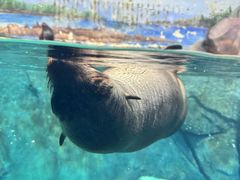 -福州罗源湾海洋世界旅游区