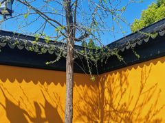 -西园戒幢律寺