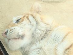 -杭州野生动物世界