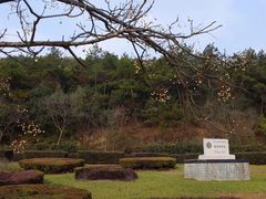 -龙寺生态园