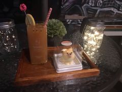 -柴犬高等学院·狗咖·柴犬售卖·宠物训练